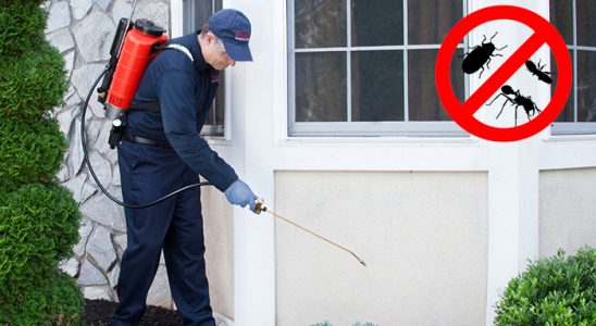 Çatak Kemirgen İlaçlama böcek ilaçlama ve haşere kontrolü — ilaclama-tr.com